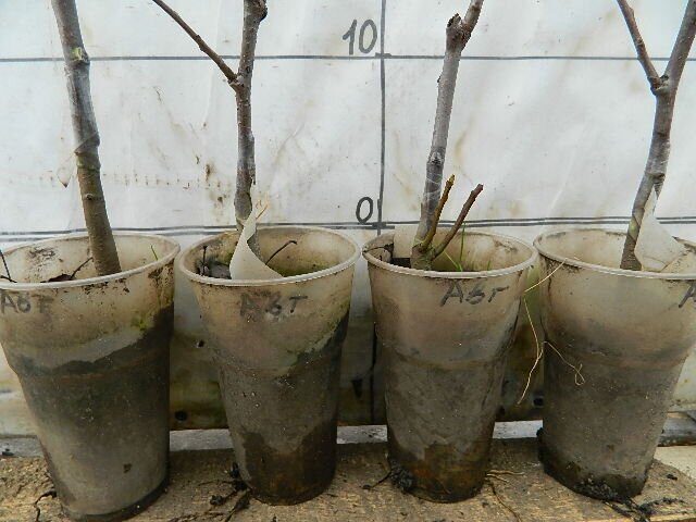 DSCN7159
